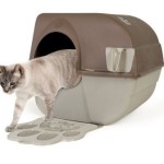 Automatic Self Cleaning Litter Box