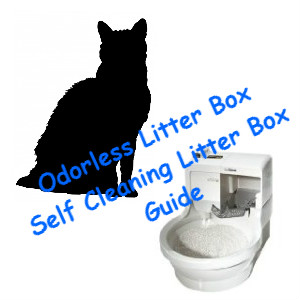 Best Self Cleaning Litter Box