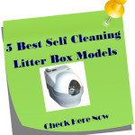 5 Best Self Cleaning Litter Box Models
