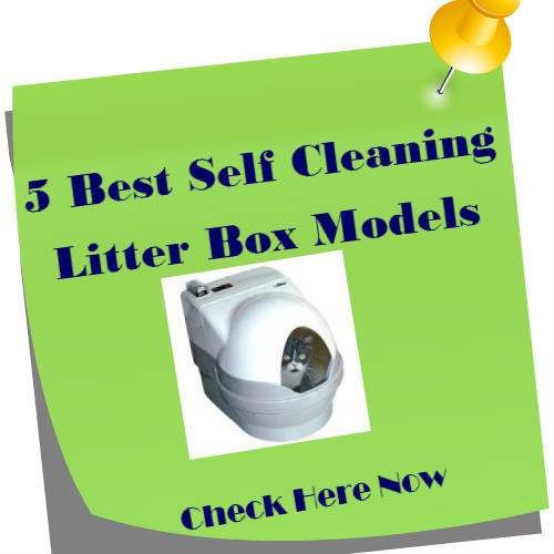 Best Self Cleaning Litter Box | Odorless Litter Cat Box